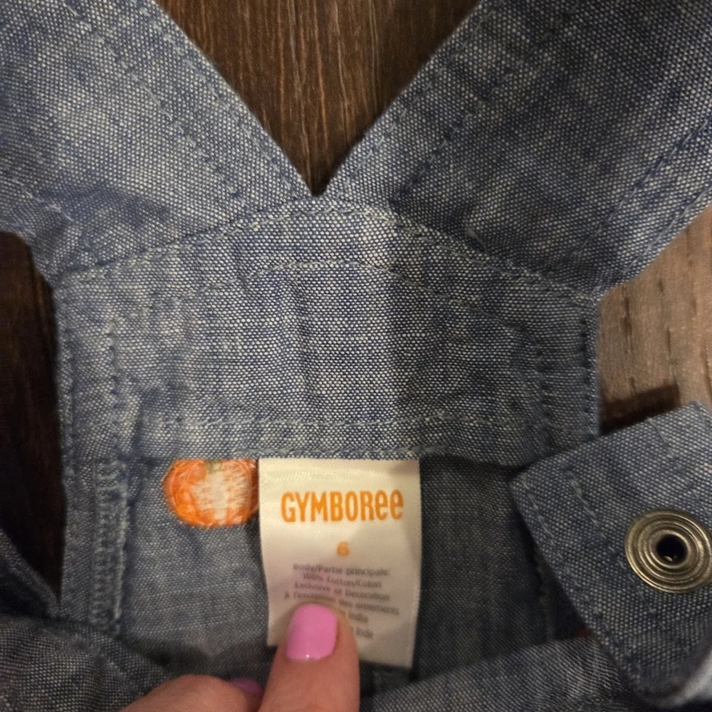 Gymboree Blue Dress with Orange Accents